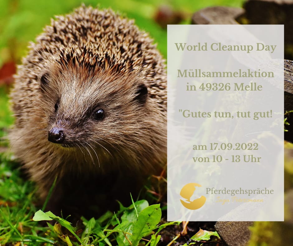 World Cleanup Day mit Pferdebegleitung (Niedersachsen)