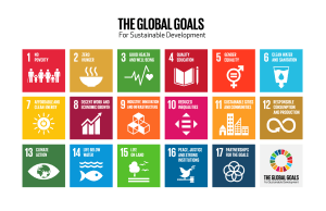 the global goals grid color