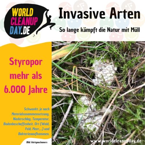 Invasive-Arten-Styropor